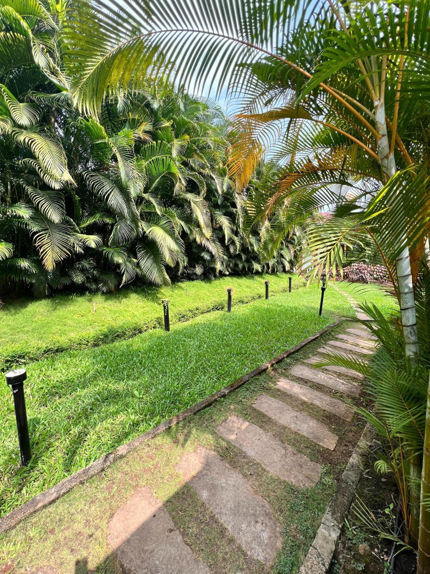 Coorg Nesara Hotel And Resort กูชาลนาการ์ ภายนอก รูปภาพ